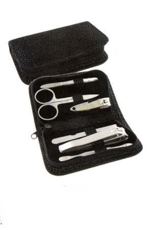 6 Piece Stainless Steel Manicure Set